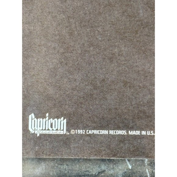 311 Music 1992 Capricorn Records Promotion Poster Not For Sale Framed Very Rare - Picture 3 of 9